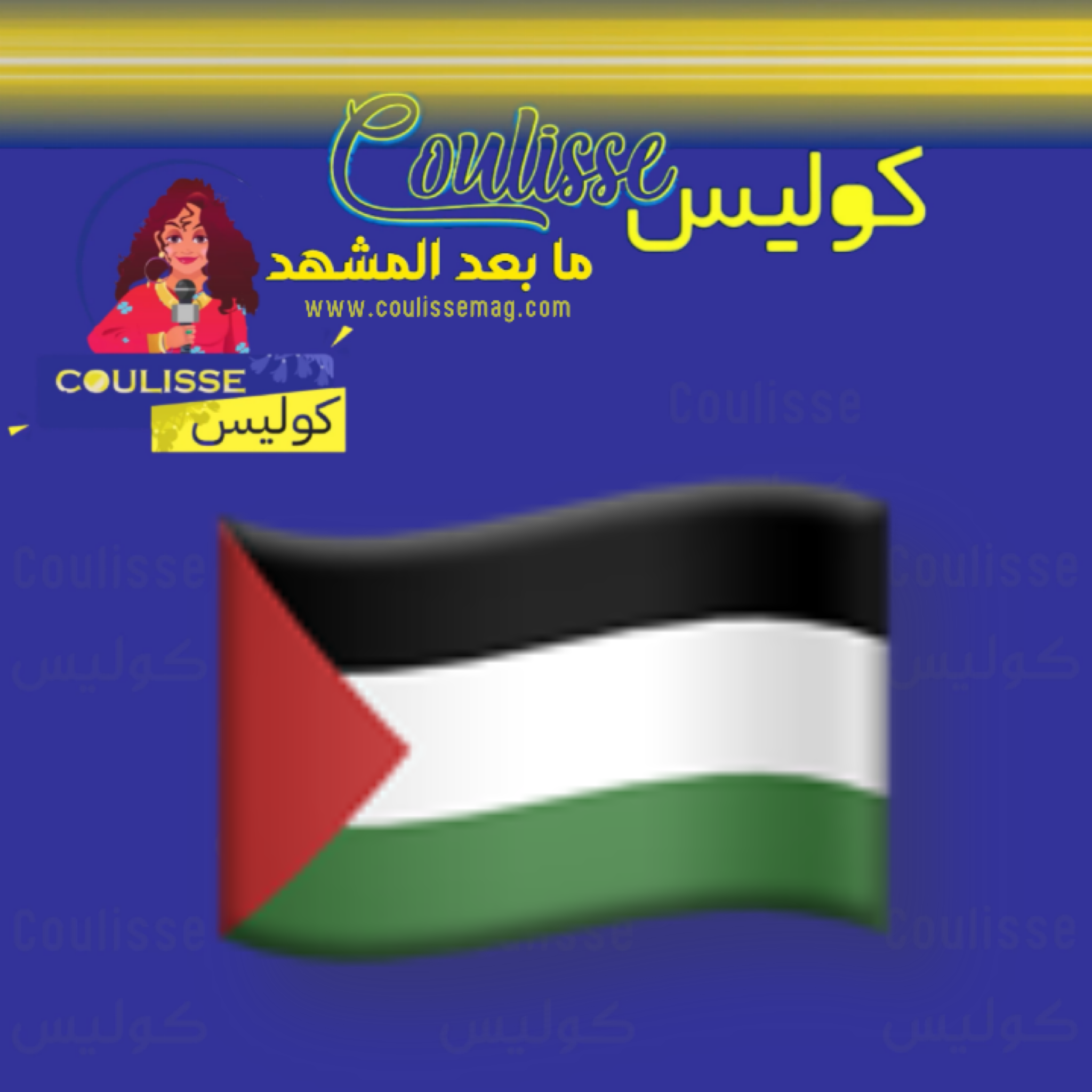 حل الدولتين من اقترحه وكيف تتكوّن دولة فلسطين على أساسه بعد الانتصار؟