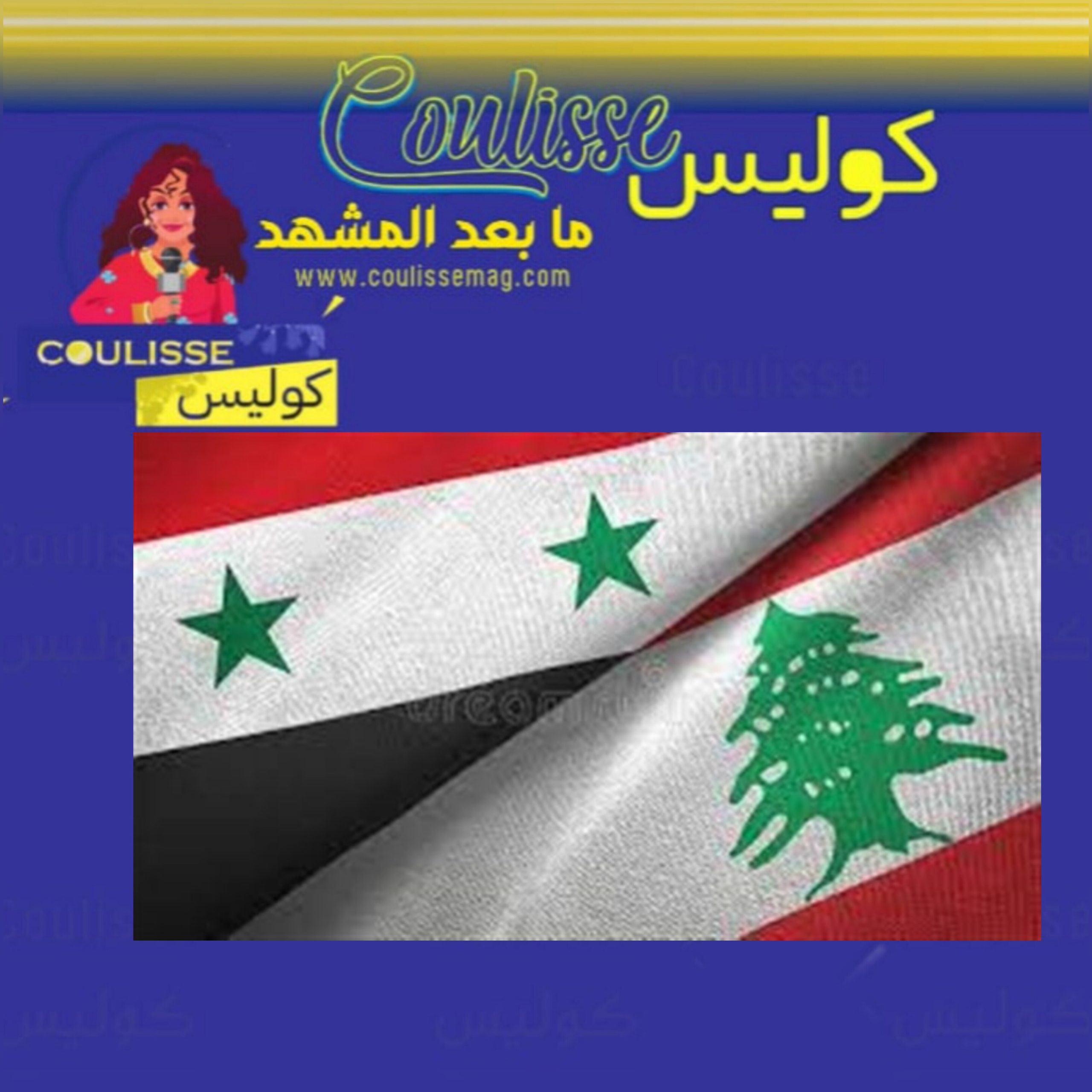 نقابتا الفنانين والصحفيين مطالبتان بهذا الإجراء لإيقاف الفتنة بين سوريا ولبنان!