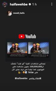 ستوري هيفاء وهبي
