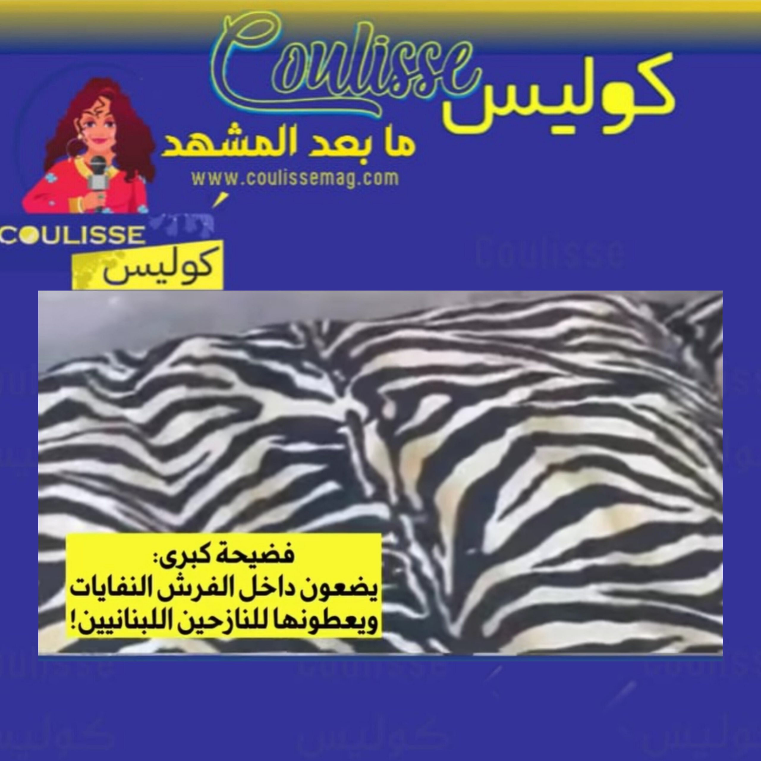 فضيحة كبرى: يضعون داخل الفرش النفايات ويعطونها للنازحين اللبنانيين! - فيديو