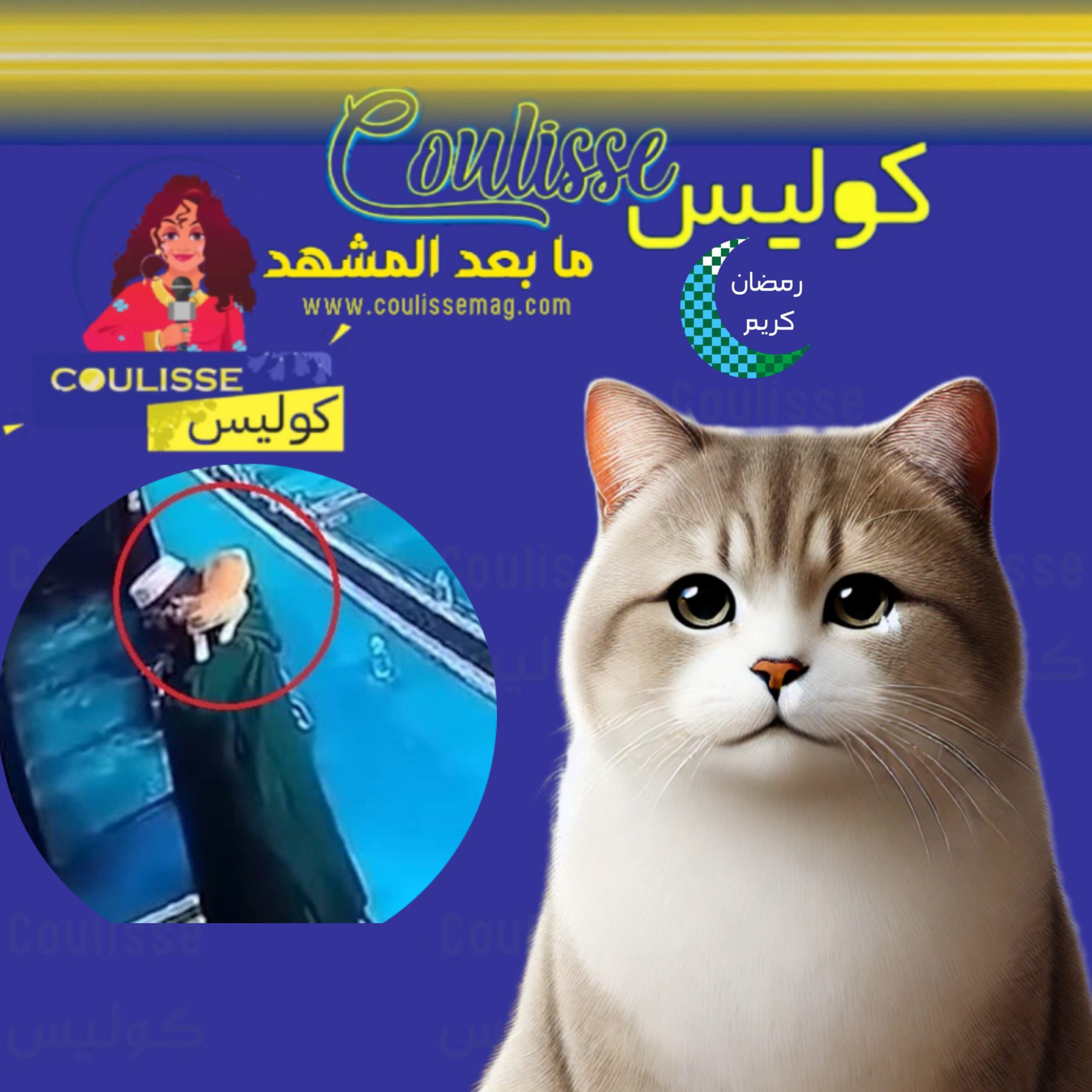 قطة تسرق الأضواء مجددًا خلال الصلاة في مسجد جزائري! - فيديو