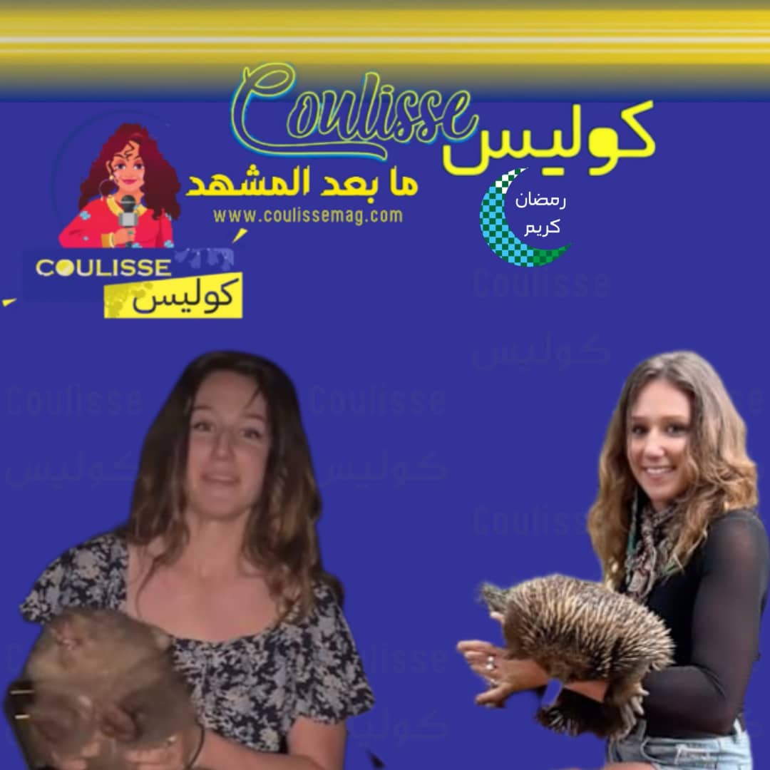 رئيس وزراء أستراليا يسخر من مؤثرة خطفت حيوانًا بريًا.. ما القصة؟