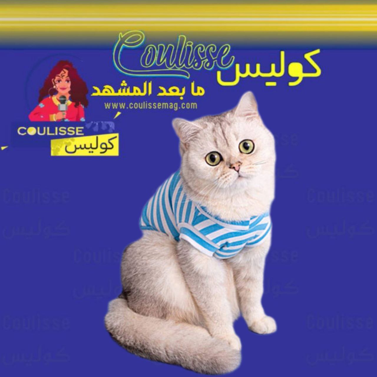كيف تحولت من قطة بريئة إلى أداة لتهريب المخدرات الحقيقة الكاملة