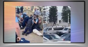 هجوم مدينة سيدني يودي بحياة 12 شخصًا في عيد حانوكا