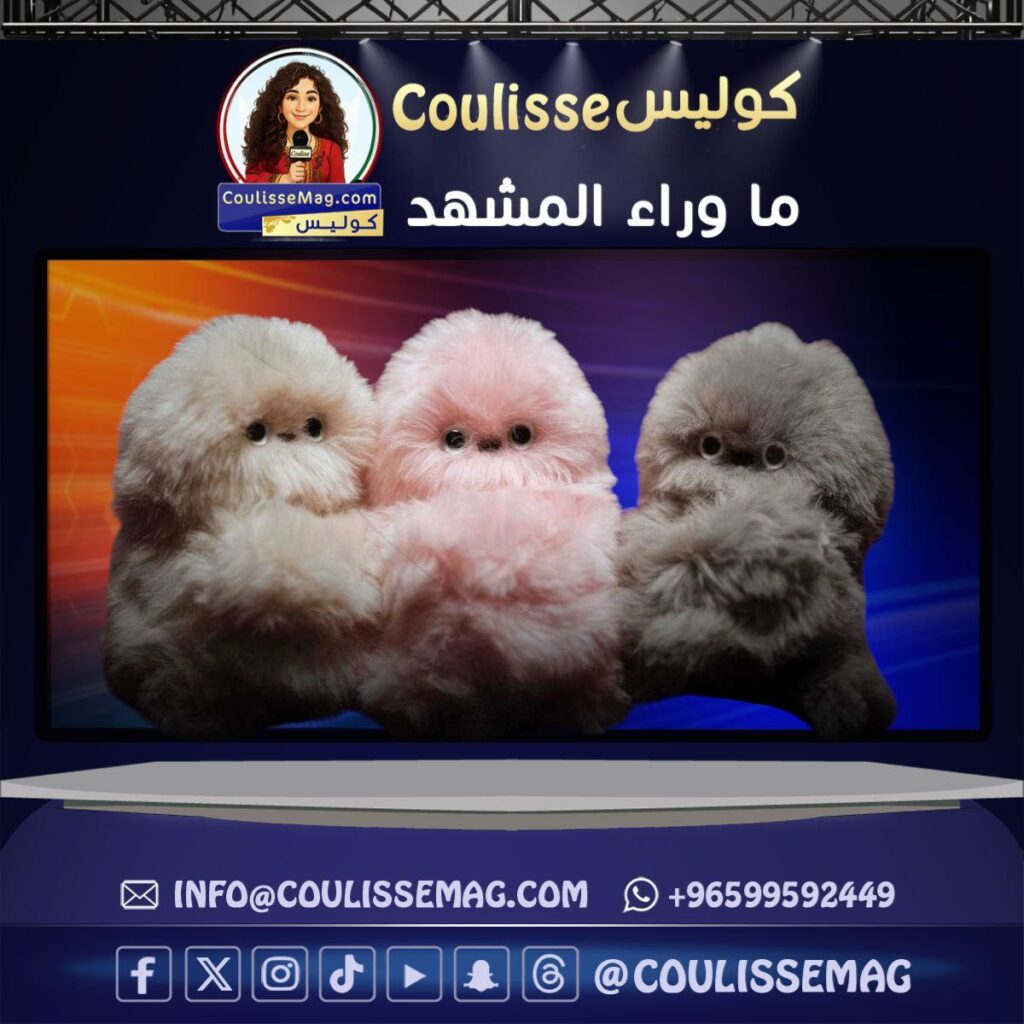 ميرومي ترند 2026 الياباني وكيف خطِف جمهور دمى الحقائب