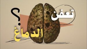 تحذير من «تعفّن الدماغ»: كيف يهدد المحتوى الرديء على السوشيال ميديا صحتنا العقلية؟