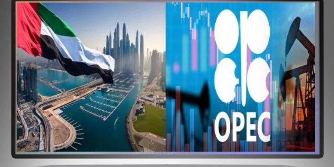 انسحاب الإمارات من أوبك … هل يُربك التحالف النفطي أم يعيد رسم ملامحه؟