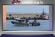 من مراقبة طائر نادر… إلى سفينة معزولة في عرض المحيط: كيف تحولت “هونديز” إلى قصة وباء عابر للقارات؟