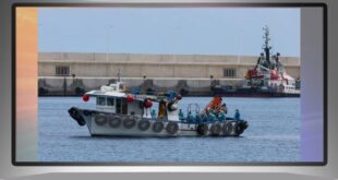 من مراقبة طائر نادر… إلى سفينة معزولة في عرض المحيط: كيف تحولت “هونديز” إلى قصة وباء عابر للقارات؟