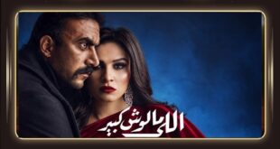 أحمد العوضي … ماذا لو قرأنا الحكاية من بدايتها؟